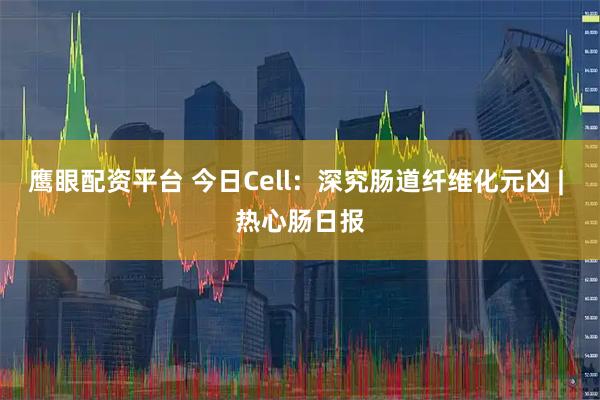 鹰眼配资平台 今日Cell：深究肠道纤维化元凶 | 热心肠日报
