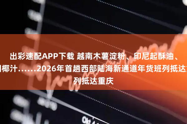 出彩速配APP下载 越南木薯淀粉、印尼起酥油、泰国椰汁……2026年首趟西部陆海新通道年货班列抵达重庆